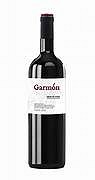 GARMON MAGNUM 2019