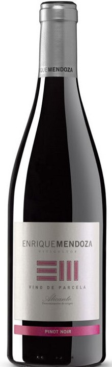 ENRIQUE MENDOZA PINOT NOIR 2023