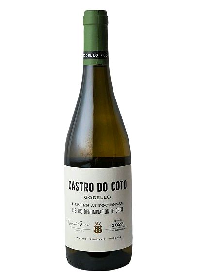 CASTRO DO COTO GODELLO