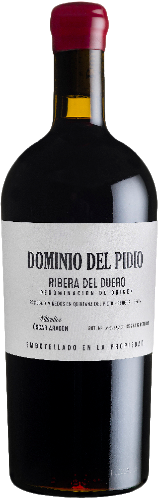 DOMINIO DEL PIDIO TINTO MG. 2021